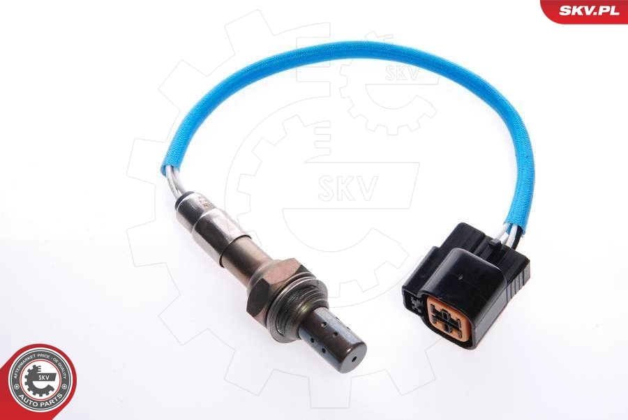 Oxygen Sensor